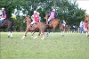 UKPA NC SAT_2329